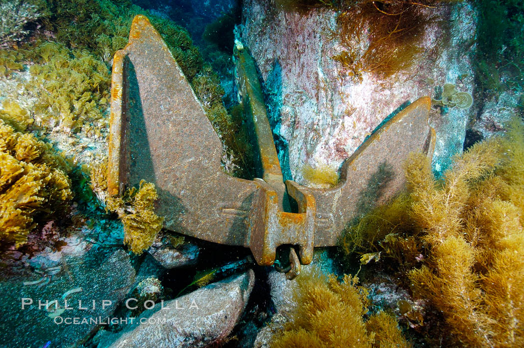 A boat anchor securely placed between underwater boulders. Guadalupe Island (Isla Guadalupe), Baja California, Mexico, natural history stock photograph, photo id 09581