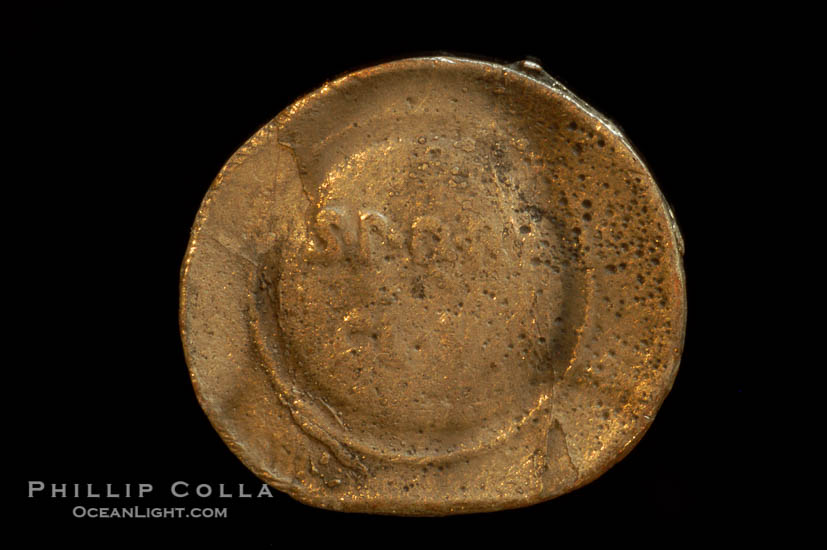 Unidentified ancient coin., natural history stock photograph, photo id 06762