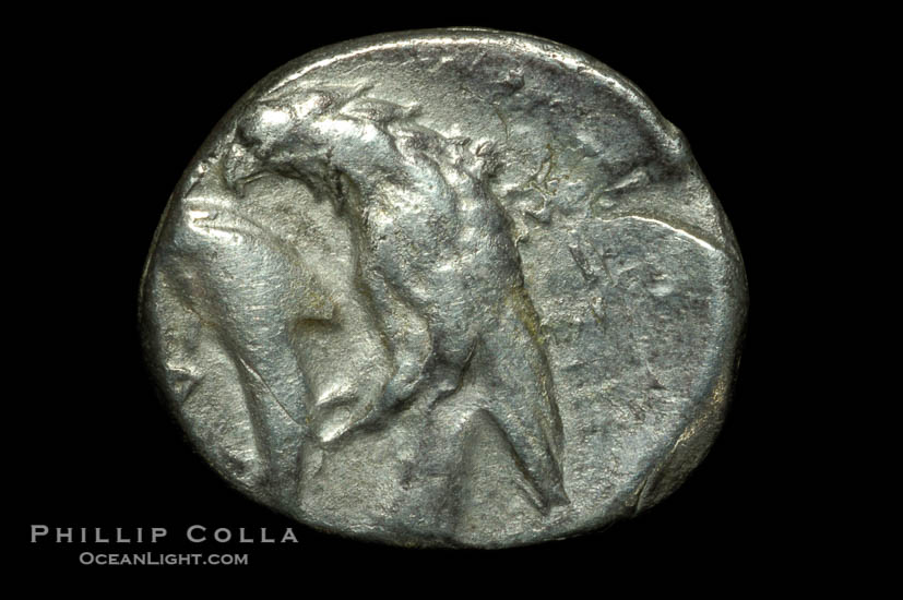 Ancient coin of Istros (Thrace), 400-350 B.C. (silver, denom/type: Drachm) (AR Drachm, 5.28 g., VF, SNG.BM.237v.)., natural history stock photograph, photo id 06769