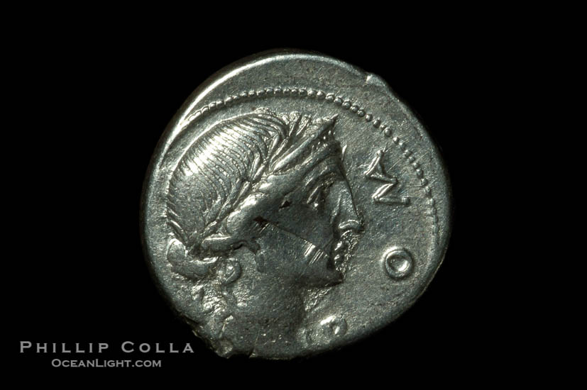 Ancient Roman coin, minted by Man. Aemilius Lepidus (114/113 B.C.), (silver, denom/type: Denarius) (Denarius Cr-291/1, Syd 554, Aelimia 7. Obverse: head Roma, right. Reverse: Equestrian statue on triumphal arch, MN AEMILIO around, LEP between arches)., natural history stock photograph, photo id 06502