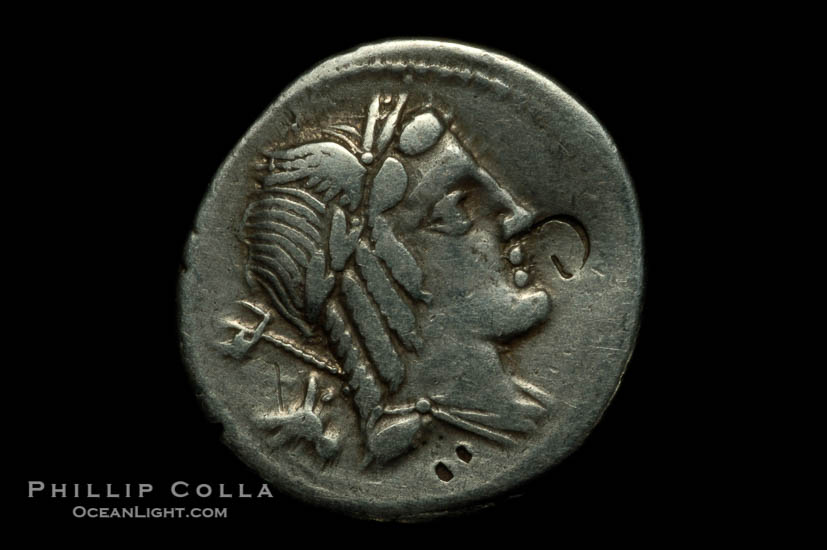 Ancient Roman coin, minted by Julius Brusio (85 B.C.), (silver, denom/type: Denarius) (Denarius Juilius Brusio. Bust of genius right, Laur. and winged, trident and symbol behind. Reverse: Victory in quadriga r. L.IVLI.BVRSIO in ex. BMC. 2485.)., natural history stock photograph, photo id 06510