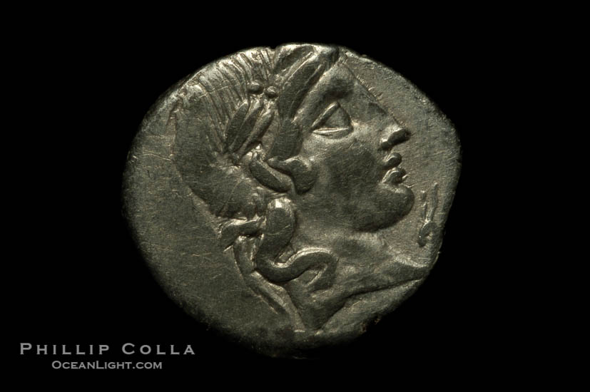 Image 06508, Ancient Roman coin, minted by C. Vibius C.F. Pansa (90 B.C.), (silver, denom/type: Denarius)., Phillip Colla, all rights reserved worldwide. Keywords: ancient coin, ancient coins, roman coin.