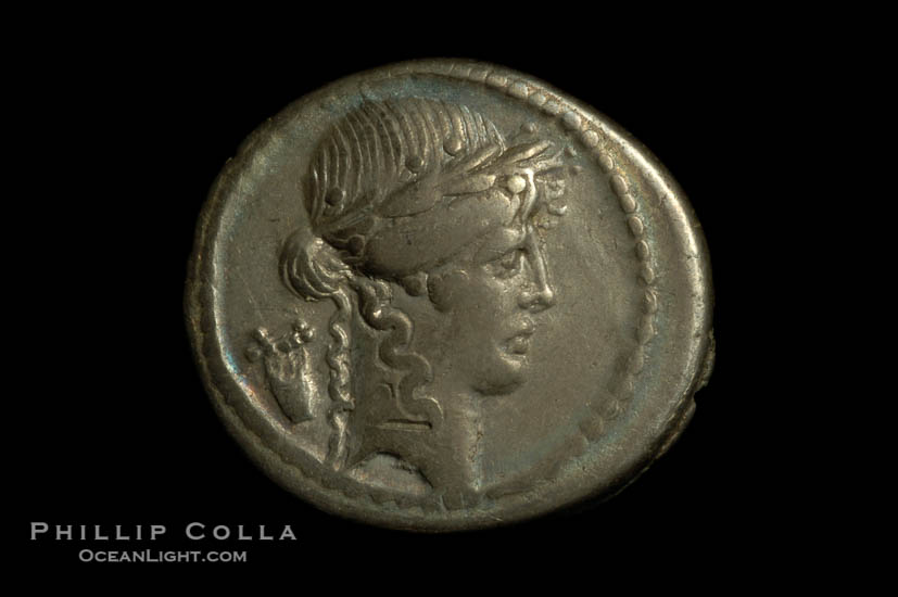 Ancient Roman coin, minted by P. Clodius (42 B.C.), (silver, denom/type: Denarius) (Denarius Cr. 494/23, SYD 1117, BAB (Claudia) 15.)., natural history stock photograph, photo id 06516