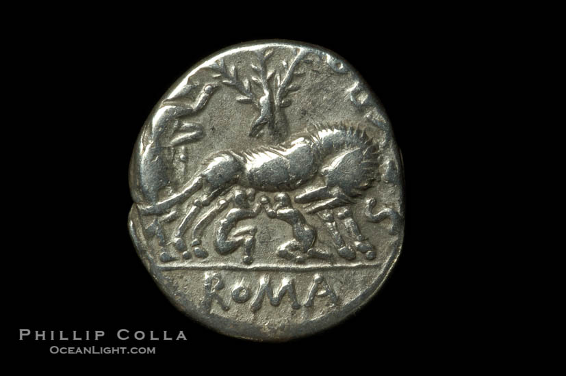 Ancient Roman coin, minted by Sexulus Pompeius Fostlus (137 B.C.), (silver, denom/type: Denarius)., natural history stock photograph, photo id 06501