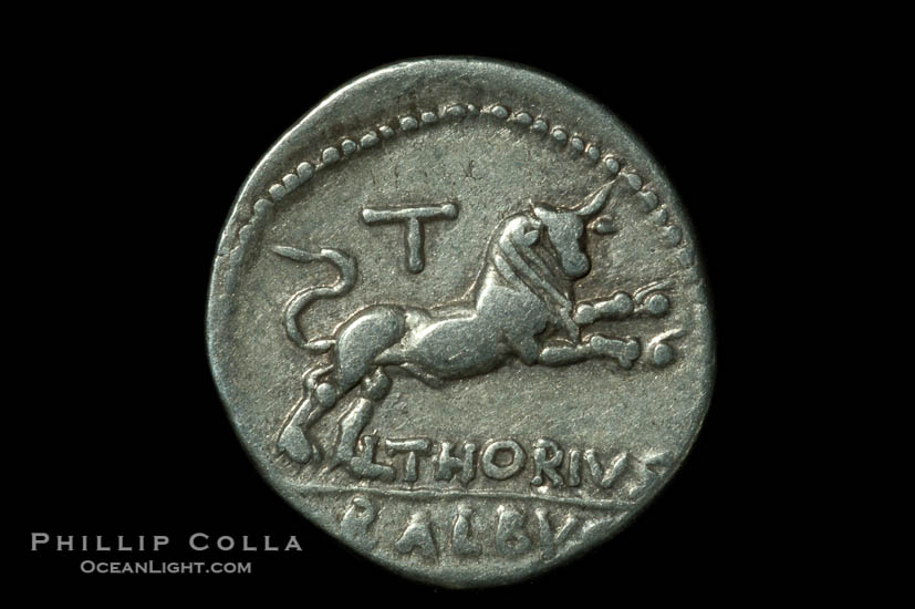 Ancient Roman coin, minted by L. Thorius Balbus (105 B.C.), (silver, denom/type: Denarius) (Denarius Syd-598. Craw-316/1. Obverse: Head of Juno of Lanuvium right, wearing goats skin, I.S.M.R. behind. Reverse: Bull charging right, T above, L THORIUS mint.)., natural history stock photograph, photo id 06505