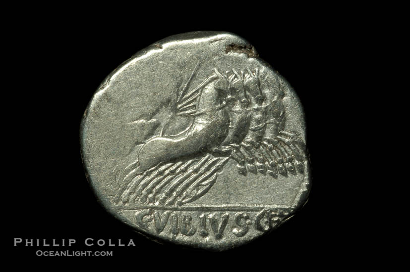 Ancient Roman coin, minted by C. Vibius C.F. Pansa (90 B.C.), (silver, denom/type: Denarius)., natural history stock photograph, photo id 06509