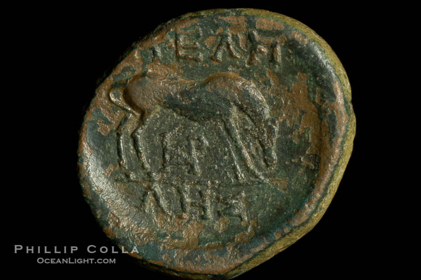 Ancient Thessalian League coin, Thessaly (Greece), 146-196 B.C. (bronze, denom/type: AE 17) (AE17. Head of Athena right, wearing crested helmet. Reverse: Horse grazing right. Similar to S 2235.)., natural history stock photograph, photo id 06773