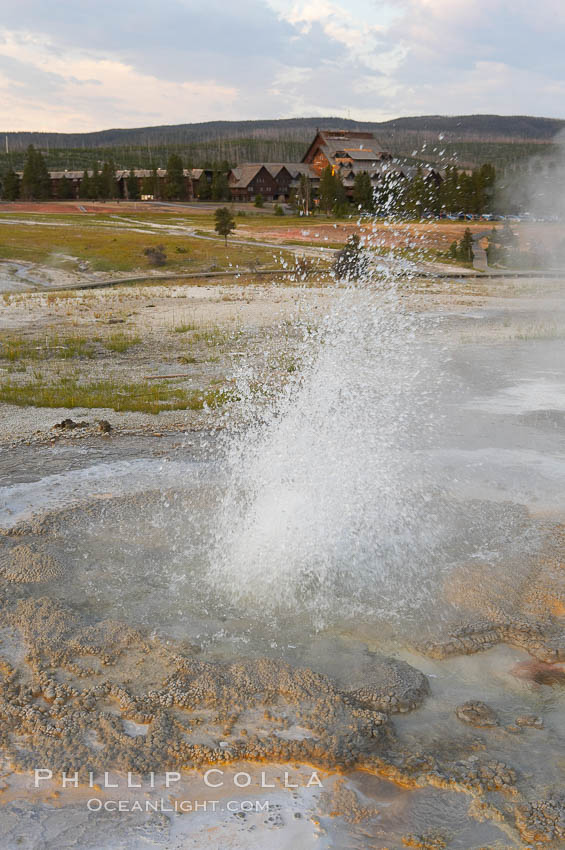 Anemone Geyser erupts, Old Faithful Inn visible in the distance.  Anemone Geyser cycles about every 7 minutes.  First the pools fills, then overflows, then bubbles and splashes before erupting.  The eruption empties the pools and the cycle begins anew.  Upper Geyser Basin. Yellowstone National Park, Wyoming, USA, natural history stock photograph, photo id 13394