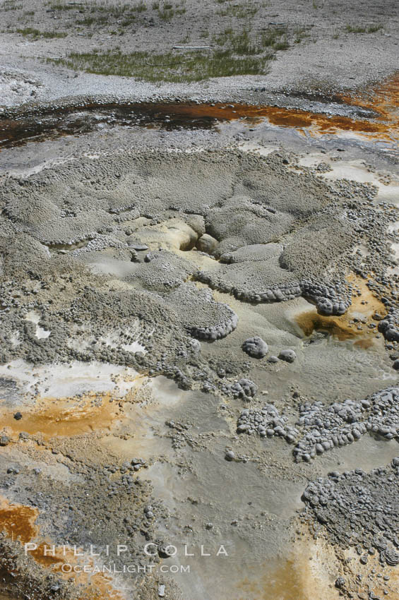 Anemone Geyser.  Between eruptions, Anemone Geysers vent pool empties completely. Upper Geyser Basin. Yellowstone National Park, Wyoming, USA, natural history stock photograph, photo id 07229