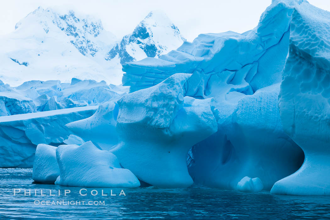 Antarctic icebergs, sculpted by ocean tides into fantastic shapes. Cierva Cove, Antarctic Peninsula, Antarctica, natural history stock photograph, photo id 25586