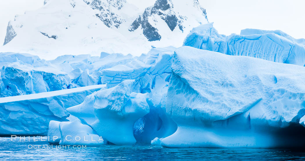 Antarctic icebergs, sculpted by ocean tides into fantastic shapes. Cierva Cove, Antarctic Peninsula, Antarctica, natural history stock photograph, photo id 25528