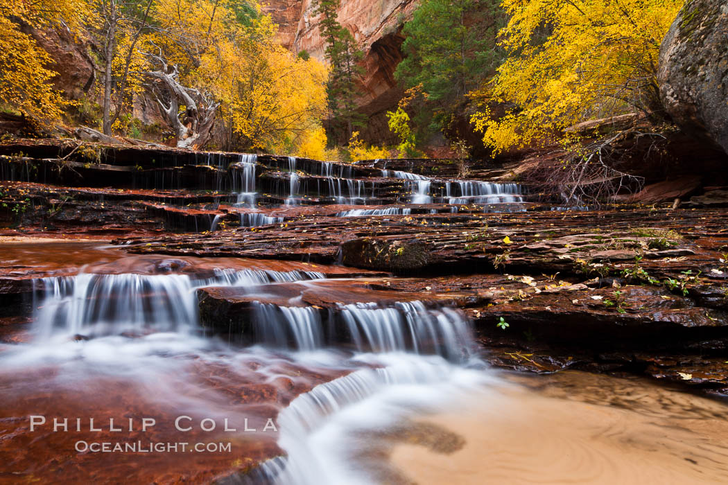Archangel Falls in autumn, near the Subway in North Creek Canyon, with maples and cottonwoods turning fall colors. Zion National Park, Utah, USA, natural history stock photograph, photo id 26112