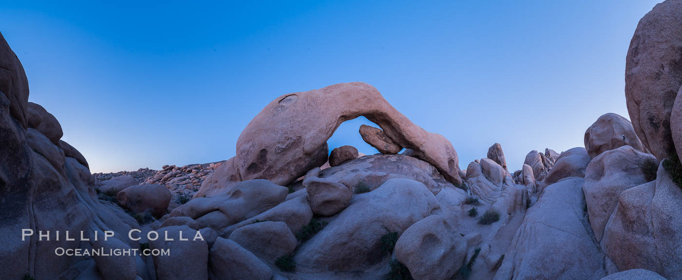 Panoramic image of Arch Rock at dusk. Joshua Tree National Park, California, USA, natural history stock photograph, photo id 29190