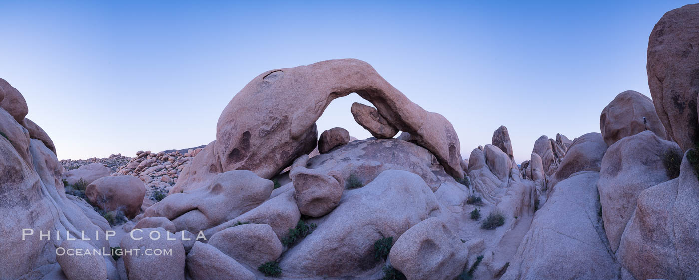 Panoramic image of Arch Rock at dusk. Joshua Tree National Park, California, USA, natural history stock photograph, photo id 29189