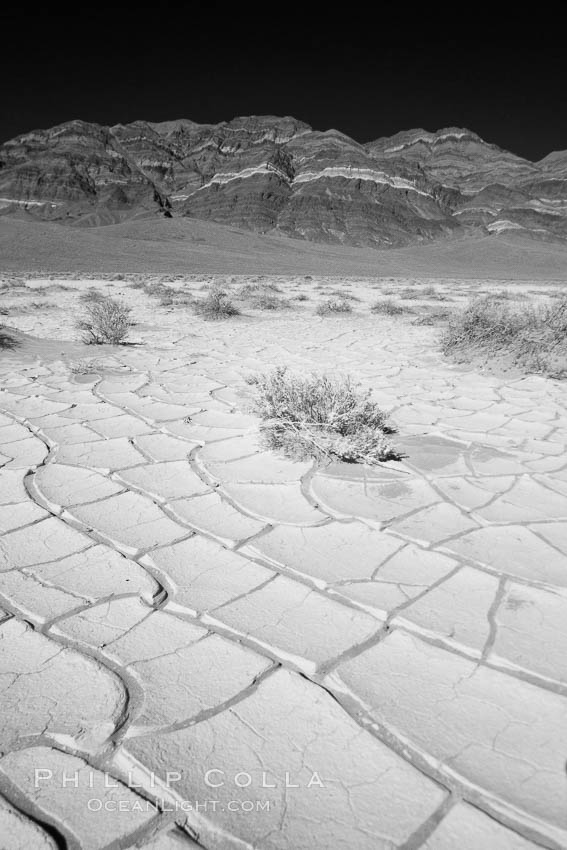 Arid and barren mud flats, dried mud. Eureka Valley, Death Valley National Park, California, USA, natural history stock photograph, photo id 25386