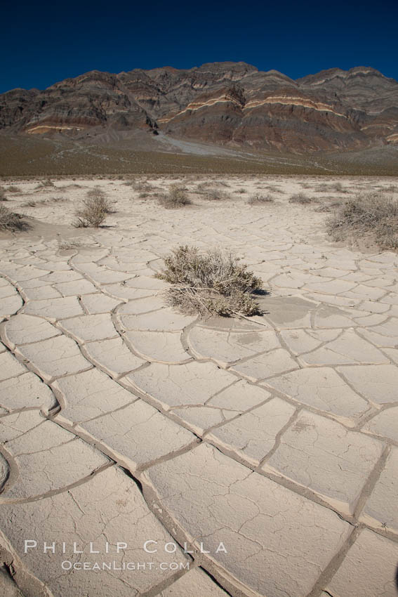 Arid and barren mud flats, dried mud. Eureka Valley, Death Valley National Park, California, USA, natural history stock photograph, photo id 25383