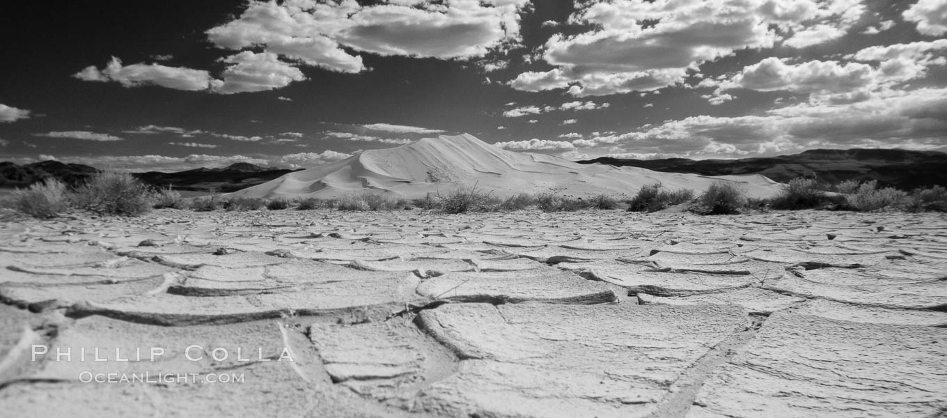 Arid and barren mud flats, dried mud, with the tall Eureka Dunes in the distance. Eureka Valley, Death Valley National Park, California, USA, natural history stock photograph, photo id 25385