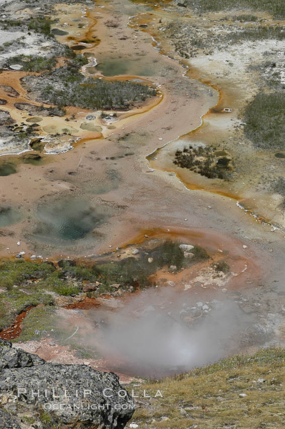 The Artist Paint Pots area of Yellowstone National Park holds steaming pools, mud pots (roiling mud mixed with sulfuric acid and steam) and paint pots (mud pots colored with dissolved minerals). Wyoming, USA, natural history stock photograph, photo id 07306