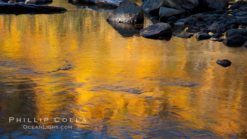 Aspen trees, fall colors, reflected in the still waters of North Lake. Bishop Creek Canyon Sierra Nevada Mountains, California, USA, Populus tremuloides, natural history stock photograph, photo id 26077