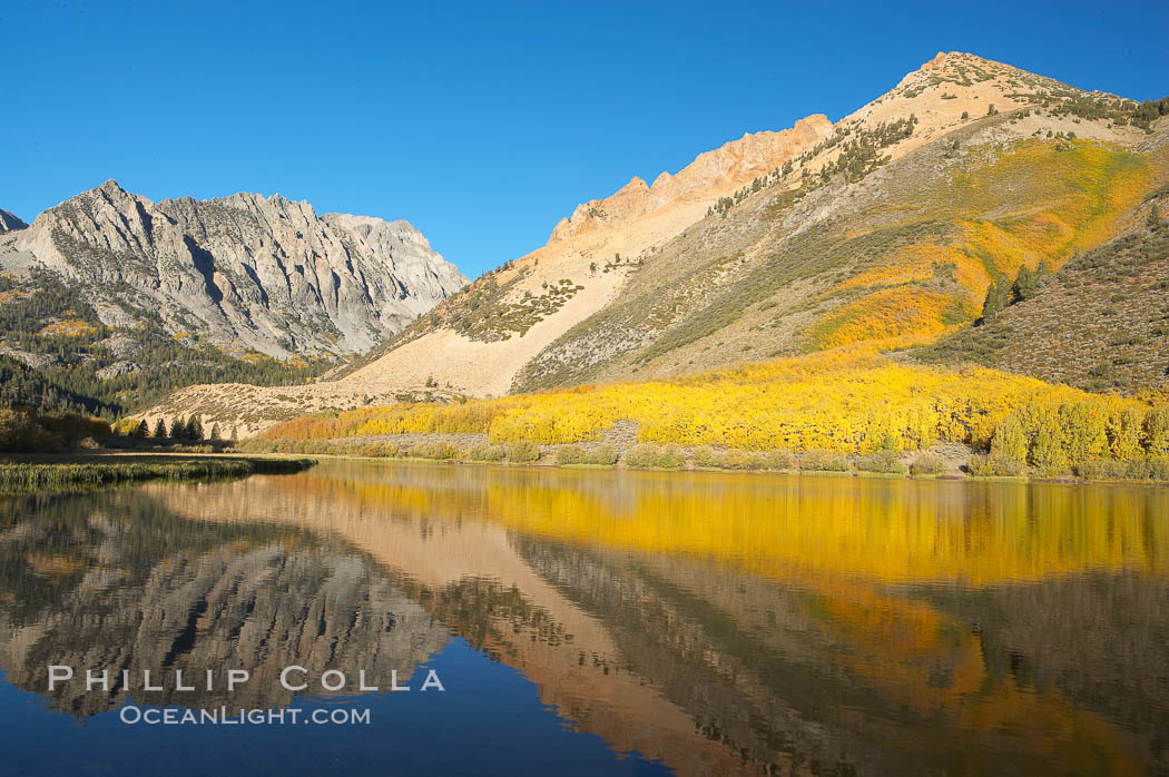 Aspen trees reflected in North Lake, Bishop Creek Canyon. Bishop Creek Canyon, Sierra Nevada Mountains, California, USA, Populus tremuloides, natural history stock photograph, photo id 17500