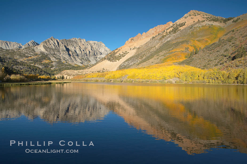 Aspens changing into fall colors, yellow and orange, are reflected in North Lake in October, Bishop Creek Canyon, Eastern Sierra. Bishop Creek Canyon, Sierra Nevada Mountains, California, USA, Populus tremuloides, natural history stock photograph, photo id 17540
