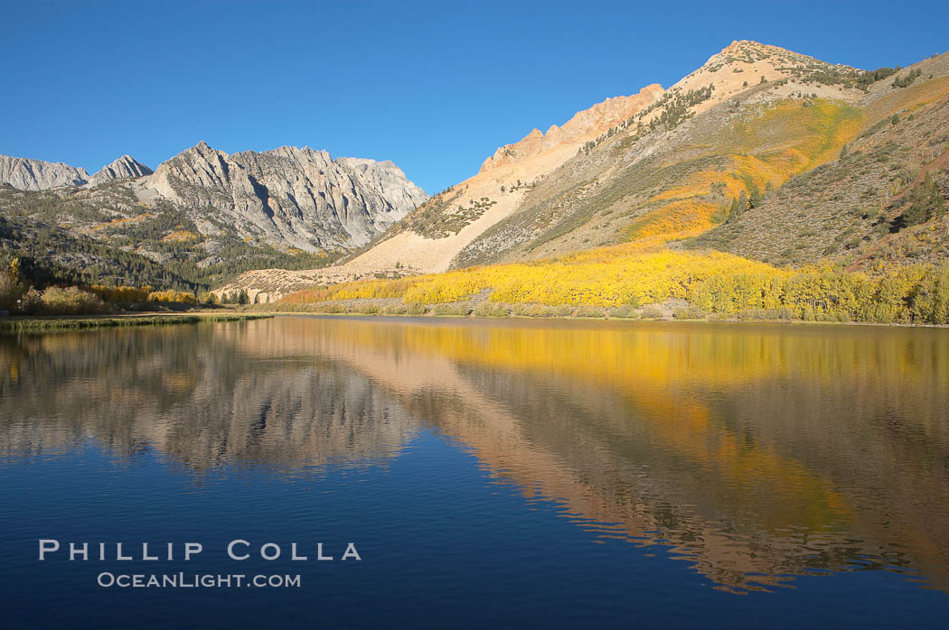 Aspens changing into fall colors, yellow and orange, are reflected in North Lake in October, Bishop Creek Canyon, Eastern Sierra. Bishop Creek Canyon, Sierra Nevada Mountains, California, USA, Populus tremuloides, natural history stock photograph, photo id 17600