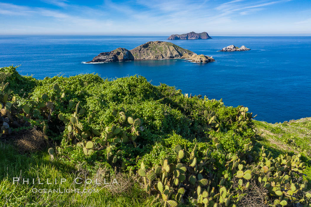 Atop South Coronado Island, aerial photo. Coronado Islands (Islas Coronado), Baja California, Mexico, natural history stock photograph, photo id 35088