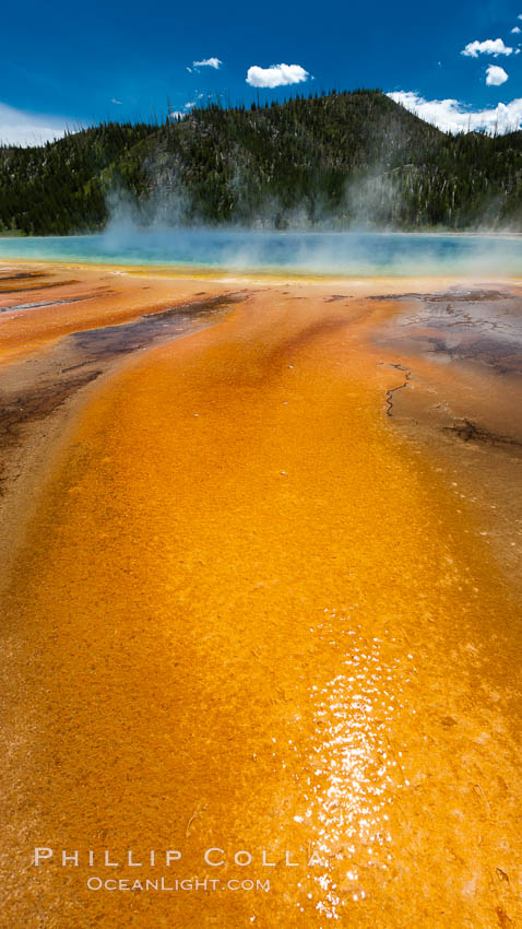 Bacteria mats and Grand Prismatic Spring.  The orange color is due to bacteria which thrive only on the cooler fringes of the hot spring, while the hotter center of the spring hosts blue-colored bacteria. Midway Geyser Basin, Yellowstone National Park, Wyoming, USA, natural history stock photograph, photo id 26964