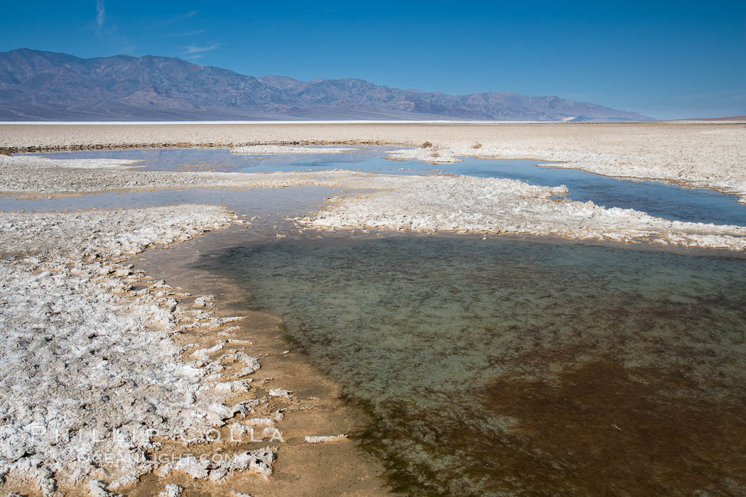 Badwater, California.  Badwater, at 282 feet below sea level, is the lowest point in North America.  9000 square miles of watershed drain into the Badwater basin, to dry and form huge white salt flats. Death Valley National Park, USA, natural history stock photograph, photo id 15594
