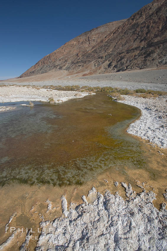 Badwater, California.  Badwater, at 282 feet below sea level, is the lowest point in North America.  9000 square miles of watershed drain into the Badwater basin, to dry and form huge white salt flats. Death Valley National Park, USA, natural history stock photograph, photo id 15581