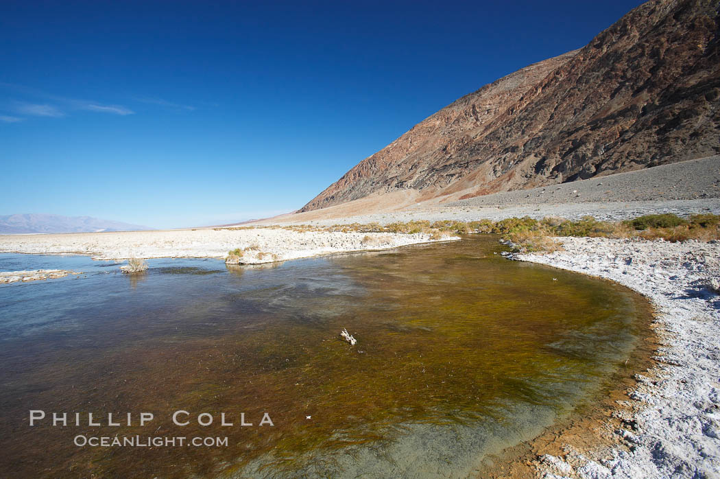 Badwater, California.  Badwater, at 282 feet below sea level, is the lowest point in North America.  9000 square miles of watershed drain into the Badwater basin, to dry and form huge white salt flats. Death Valley National Park, USA, natural history stock photograph, photo id 15593