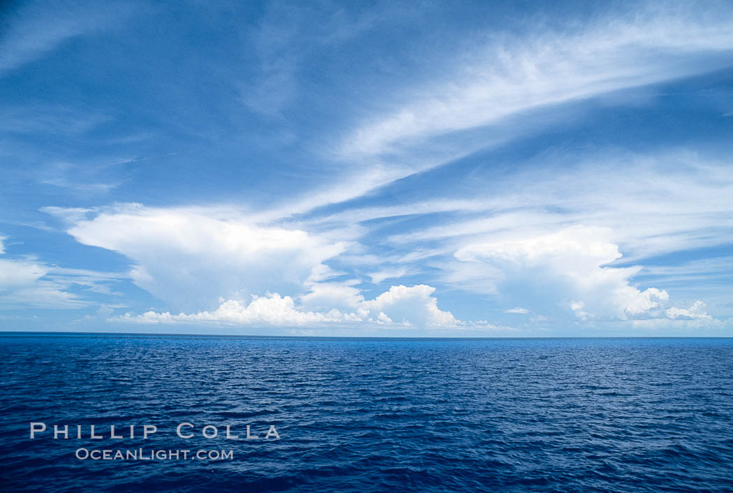 Bahama Banks. Bahamas, natural history stock photograph, photo id 03446