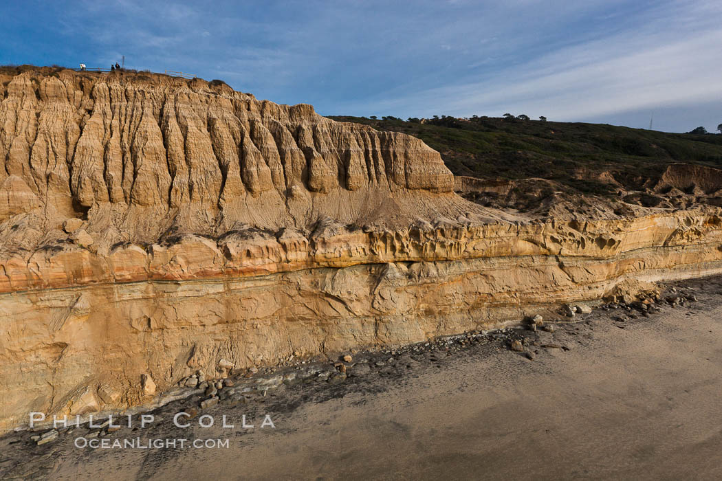 Torrey Pines balloon aerial survey photo.  Torrey Pines seacliffs, rising up to 300 feet above the ocean, stretch from Del Mar to La Jolla. On the mesa atop the bluffs are found Torrey pine trees, one of the rare species of pines in the world. Peregine falcons nest at the edge of the cliffs. This photo was made as part of an experimental balloon aerial photographic survey flight over Torrey Pines State Reserve, by permission of Torrey Pines State Reserve. San Diego, California, USA, natural history stock photograph, photo id 27286