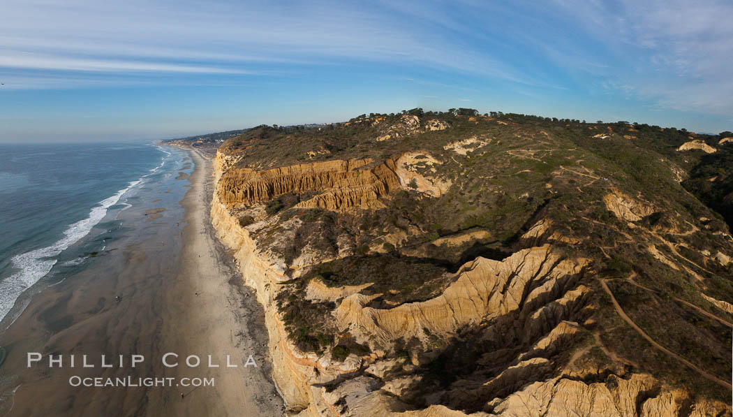 Torrey Pines balloon aerial survey photo.  Torrey Pines seacliffs, rising up to 300 feet above the ocean, stretch from Del Mar to La Jolla. On the mesa atop the bluffs are found Torrey pine trees, one of the rare species of pines in the world. Peregrine falcons nest at the edge of the cliffs. This photo was made as part of an experimental balloon aerial photographic survey flight over Torrey Pines State Reserve, by permission of Torrey Pines State Reserve. San Diego, California, USA, natural history stock photograph, photo id 27276