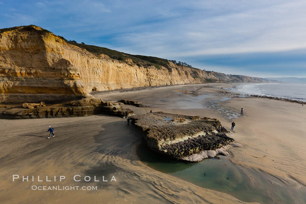 Torrey Pines balloon aerial survey photo.  Torrey Pines seacliffs, rising up to 300 feet above the ocean, stretch from Del Mar to La Jolla. On the mesa atop the bluffs are found Torrey pine trees, one of the rare species of pines in the world. Peregrine falcons nest at the edge of the cliffs. This photo was made as part of an experimental balloon aerial photographic survey flight over Torrey Pines State Reserve, by permission of Torrey Pines State Reserve. San Diego, California, USA, natural history stock photograph, photo id 27288