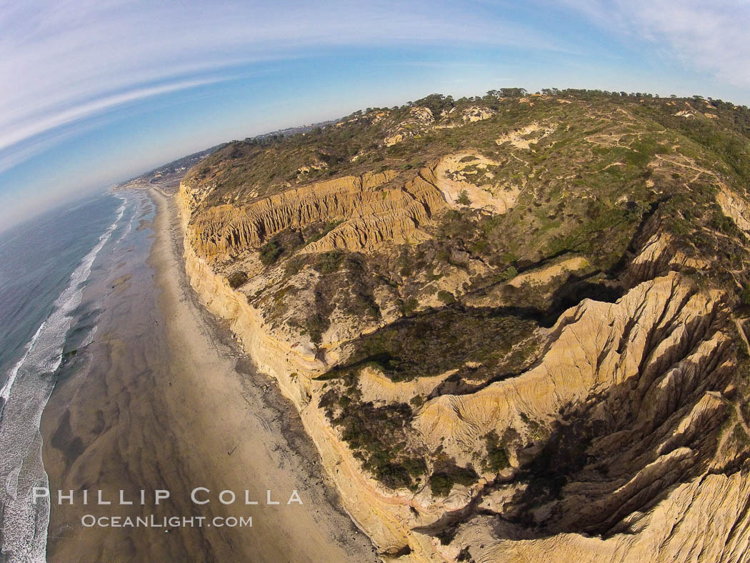 Torrey Pines balloon aerial survey photo.  Torrey Pines seacliffs, rising up to 300 feet above the ocean, stretch from Del Mar to La Jolla. On the mesa atop the bluffs are found Torrey pine trees, one of the rare species of pines in the world. Peregrine falcons nest at the edge of the cliffs. This photo was made as part of an experimental balloon aerial photographic survey flight over Torrey Pines State Reserve, by permission of Torrey Pines State Reserve. San Diego, California, USA, natural history stock photograph, photo id 27292