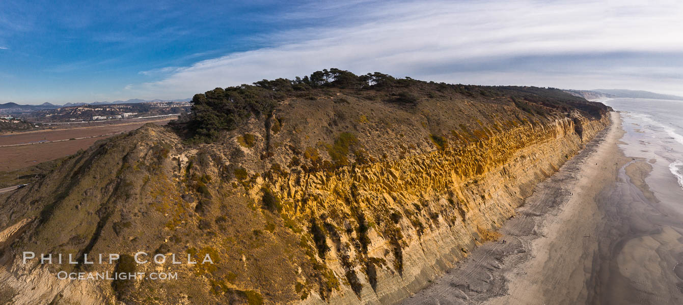 Torrey Pines balloon aerial survey photo.  Torrey Pines seacliffs, rising up to 300 feet above the ocean, stretch from Del Mar to La Jolla. On the mesa atop the bluffs are found Torrey pine trees, one of the rare species of pines in the world. Peregrine falcons nest at the edge of the cliffs. This photo was made as part of an experimental balloon aerial photographic survey flight over Torrey Pines State Reserve, by permission of Torrey Pines State Reserve. San Diego, California, USA, natural history stock photograph, photo id 27275