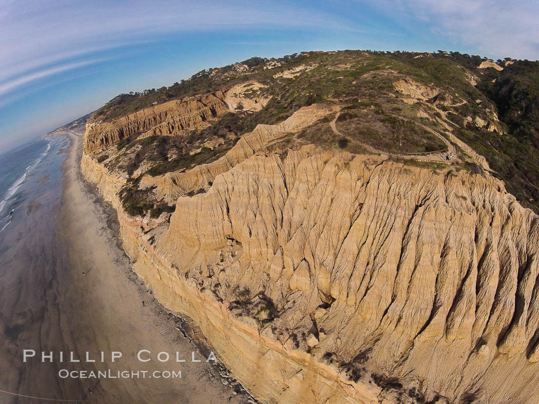 Torrey Pines balloon aerial survey photo.  Torrey Pines seacliffs, rising up to 300 feet above the ocean, stretch from Del Mar to La Jolla. On the mesa atop the bluffs are found Torrey pine trees, one of the rare species of pines in the world. Peregine falcons nest at the edge of the cliffs. This photo was made as part of an experimental balloon aerial photographic survey flight over Torrey Pines State Reserve, by permission of Torrey Pines State Reserve. San Diego, California, USA, natural history stock photograph, photo id 27291