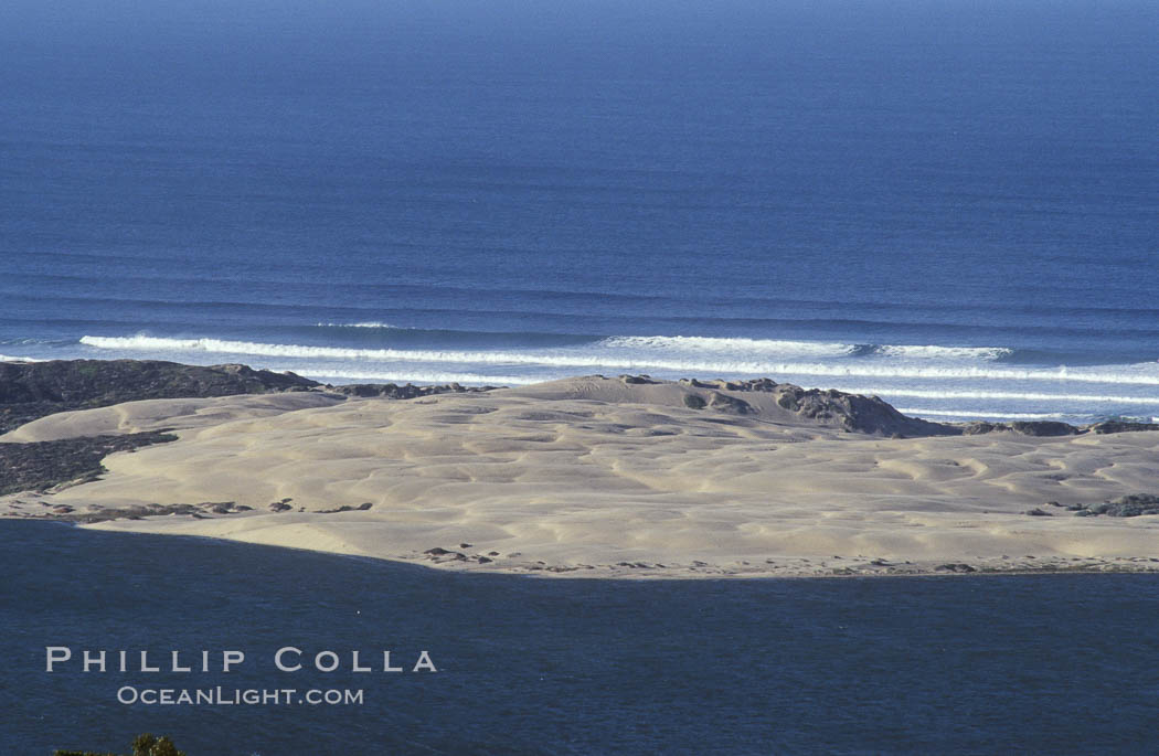 Barrier dunes between Los Osos and Morro Bay. California, USA, natural history stock photograph, photo id 06448