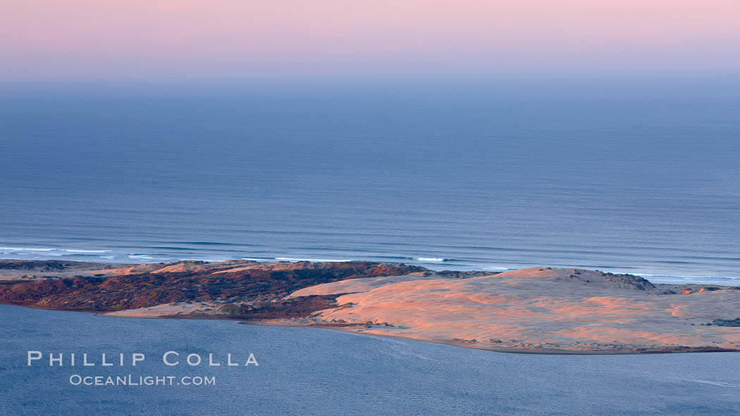 Barrier dunes, along the narrow sand strand separating Morro Bay and the Pacific Ocean. California, USA, natural history stock photograph, photo id 22215