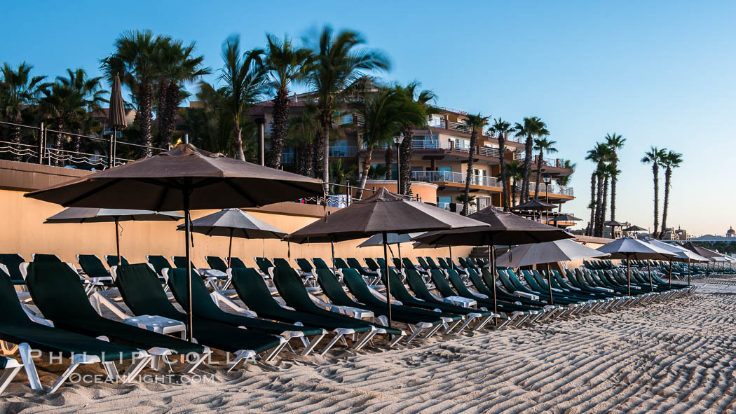 Beach chairs and umbrellas line the sand in front of resorts on Medano Beach, Cabo San Lucas, Mexico. Baja California, natural history stock photograph, photo id 28947
