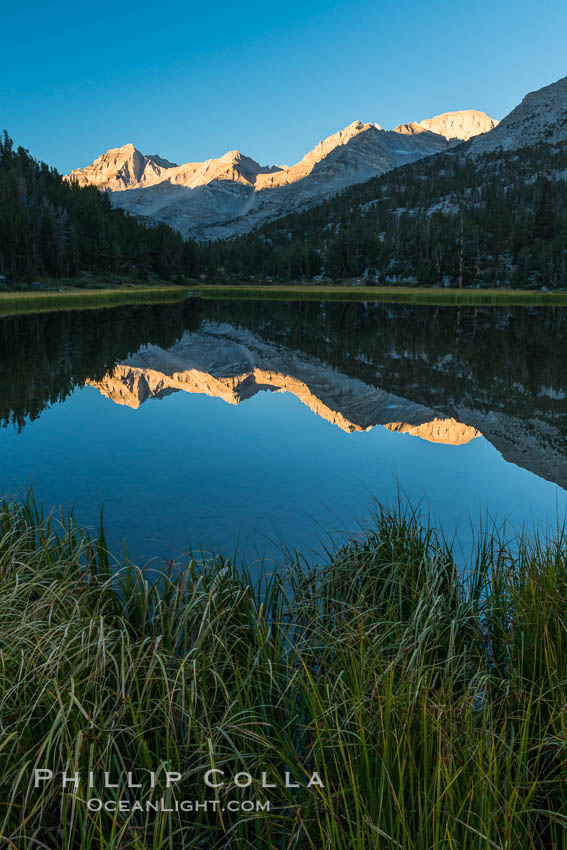 Bear Creek Spire over Marsh Lake at Sunrise, Little Lakes Valley, John Muir Wilderness, Inyo National Forest. Little Lakes Valley, Inyo National Forest, California, USA, natural history stock photograph, photo id 31168