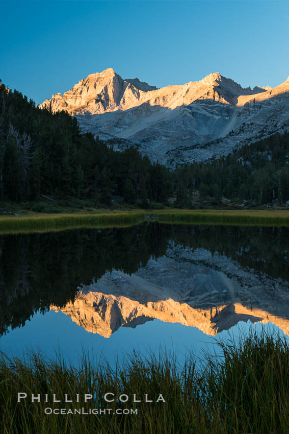 Bear Creek Spire over Marsh Lake at Sunrise, Little Lakes Valley, John Muir Wilderness, Inyo National Forest. Little Lakes Valley, Inyo National Forest, California, USA, natural history stock photograph, photo id 31167