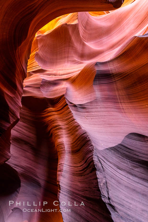 Lower Antelope Canyon, a deep, narrow and spectacular slot canyon lying on Navajo Tribal lands near Page, Arizona. Navajo Tribal Lands, USA, natural history stock photograph, photo id 37770