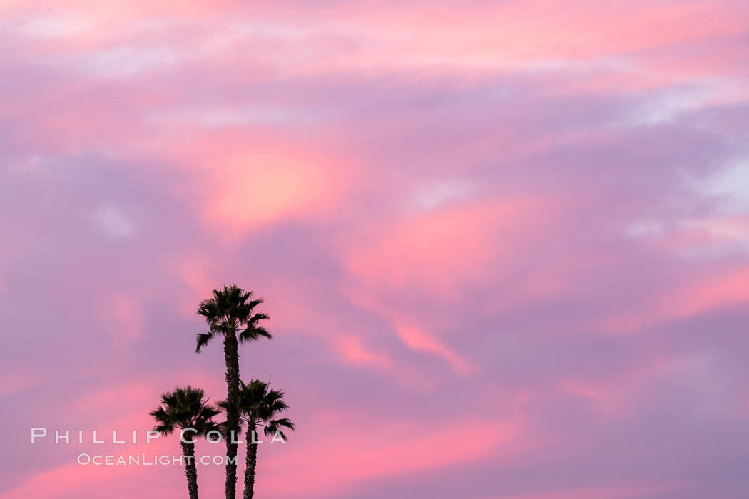 Beautiful Sunset over San Diego. California, USA, natural history stock photograph, photo id 36640