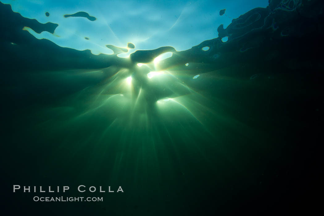 Beautiful underwater sunburst, glittering light through the ocean surface, Sea of Cortez, Baja California, Mexico., natural history stock photograph, photo id 27570