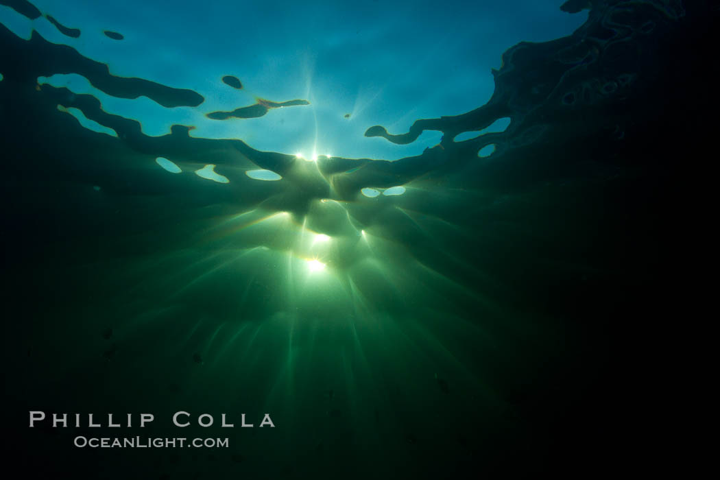 Beautiful underwater sunburst, glittering light through the ocean surface, Sea of Cortez, Baja California, Mexico., natural history stock photograph, photo id 27569