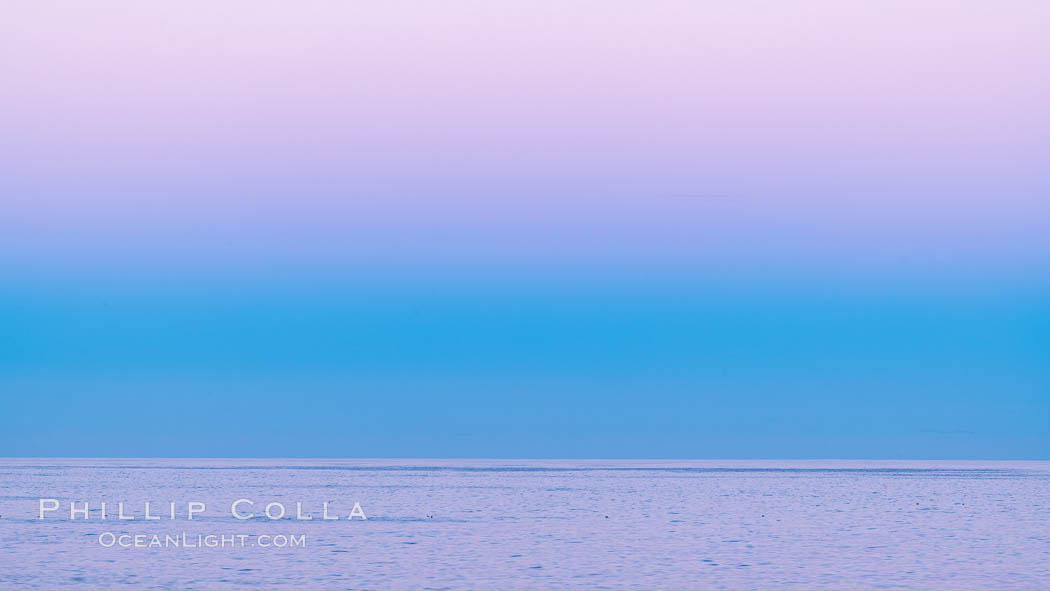 Belt of Venus and Earth Shadow at Dawn. The Belt of Venus is actually alpenglow visible near the horizon during twilight, above the antisolar point. Like alpenglow, the backscatter of reddened sunlight also creates the Belt of Venus. Unlike alpenglow, the sunlight scattered by fine particulates that cause the rosy arch of the Belt shines high in the atmosphere and lasts for a while after sunset or before sunrise. La Jolla, California, USA, natural history stock photograph, photo id 37476