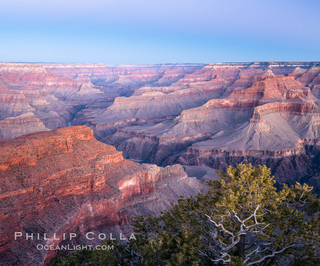 Belt of Venus over Grand Canyon at sunrise, viewed from Hopi Point on the south rim of Grand Canyon National Park. The Belt of Venus, or anti-twilight arch, is the shadow of the earth cast upon the atmosphere just above the horizon, and occurs a few minutes before sunrise or after sunset. Arizona, USA, natural history stock photograph, photo id 37764