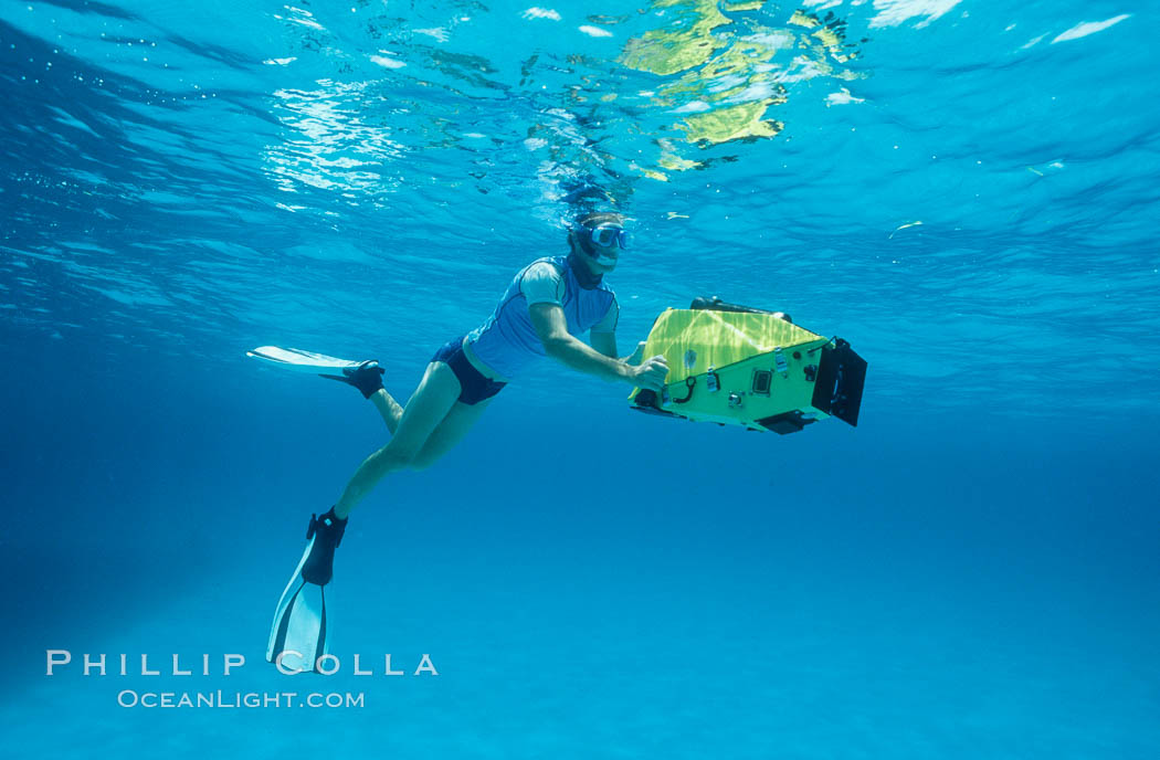 Betacam underwater housing and cameraman. Bahamas, natural history stock photograph, photo id 04902